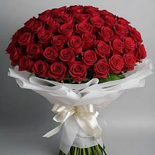 Букет 101 Красная роза Блэк Мэджик в Шаталово