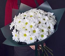 Букет цветов из:  Хризантемы #REPLACE_PRED# Шаталово