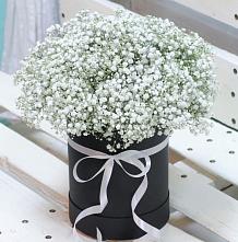 Цветочная композиция из Гипсофила в шляпной коробке #REPLACE_PRED# Шаталово