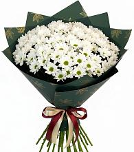 Букет цветов из:  Хризантемы в Шаталово