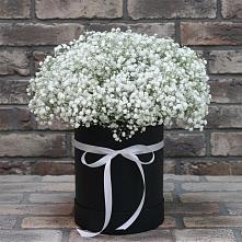 Цветочная композиция из Гипсофила в шляпной коробке #REPLACE_PRED# Шаталово