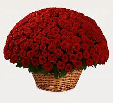 Премиум букет из: Розы #REPLACE_PRED# Шаталово