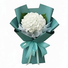 Букет цветов из:  Гортензия в Шаталово